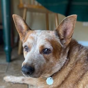 Meet your Posher, Kevin